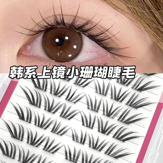 清冷高智ins氛围感！法式小珊瑚假睫毛韩系自然仿真单簇上镜睫毛