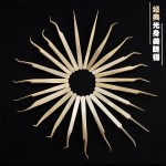 跨境专供美睫不锈钢嫁接辅助假睫毛镊子金羽夹亚马逊代发睫毛工具