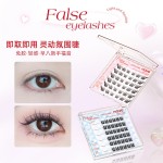 NOVO9167轻盈灵动免胶眼睫毛自然立体不易掉早八新手福音平价ins