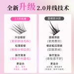 丝丝小姐新中式原创狐自然青丘狐上镜涂山狐浓密斜飞分段睫毛国风