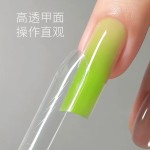 热卖细狗梯椭圆三明治甲模美甲延长甲片免纸托240片透明甲水晶甲