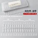超薄无痕穿戴300pcs甲片磨砂短梯形指甲贴片延长塑形甲片批发