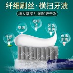 自由泉柔韧深洁牙刷软毛牙刷 深度清洁牙缝温和护龈情侣成人家用