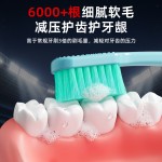 日本品牌宽头牙刷软毛高级清洁护龈成人家用德国贝纶刷丝牙刷