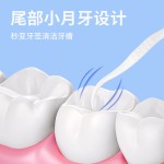散装1000支袋装超细高分子牙线棒 批发家庭装食品级一次性剔设计