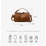 新款女式大容量通勤轻奢软皮包包小众枕头包欧式风格手提斜挎女包