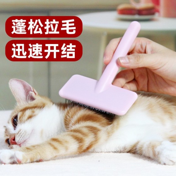 美容师专属金派滋小仙女针梳宠物美容猫咪幼犬拉毛开结梳子