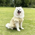 大狗衣服宠物背心裙子春夏薄款金毛犬萨摩耶拉布拉多边牧防晒衣服