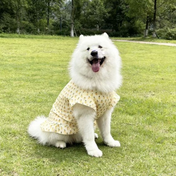 大狗衣服宠物背心裙子春夏薄款金毛犬萨摩耶拉布拉多边牧防晒衣服