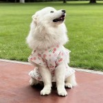 大狗衣服宠物背心裙子春夏薄款金毛犬萨摩耶拉布拉多边牧防晒衣服