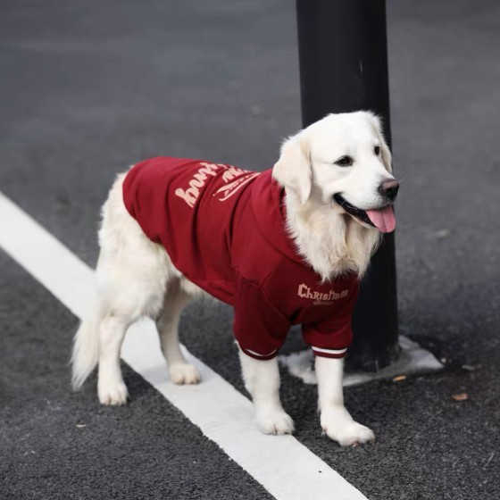 大狗狗新年衣服秋冬款加绒加厚金毛红色衣服拉布拉多德牧中大型犬