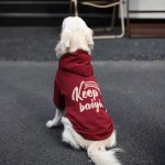 大狗狗新年衣服秋冬款加绒加厚金毛红色衣服拉布拉多德牧中大型犬