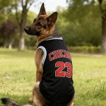 狗狗衣服大型犬薄款杜宾透气篮球服大狗衣服夏季金毛德牧狗狗衣服