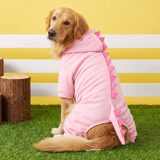 柯基金毛配饰大型犬宠物服饰 可爱狗狗服装恐龙变身装大狗衣服