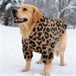 大狗衣服秋冬中大型犬金毛拉布拉多边牧萨摩耶大狗保暖宠物衣服
