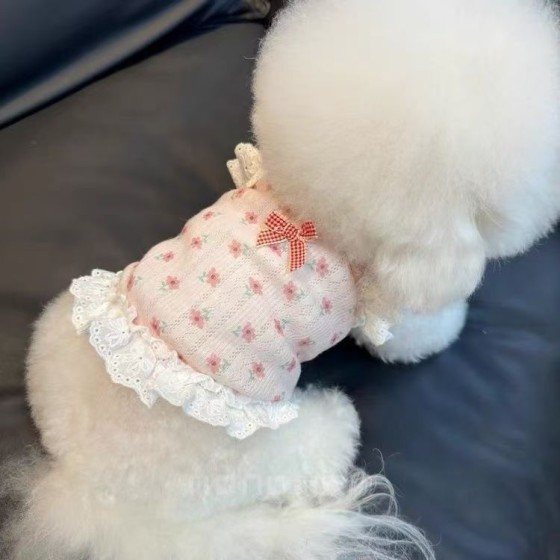 狗狗衣服春夏新款碎花蕾丝吊带公主裙子宠物比熊泰迪花边背心裙
