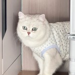 宠物猫咪服装狗狗衣服薄款比熊法斗柯基泰迪博美小型犬幼印花休闲