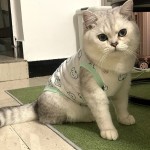 宠物猫咪服装狗狗衣服薄款比熊法斗柯基泰迪博美小型犬幼印花休闲