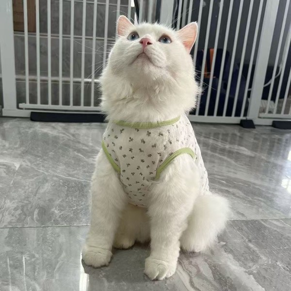 宠物猫咪服装狗狗衣服薄款比熊法斗柯基泰迪博美小型犬幼印花休闲