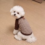 小狗狗衣服秋冬季德绒保暖卫衣小型犬比熊泰迪约克夏防着凉居家服