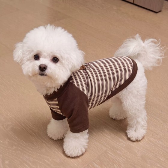 小狗狗衣服秋冬季德绒保暖卫衣小型犬比熊泰迪约克夏防着凉居家服