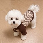 小狗狗衣服秋冬季德绒保暖卫衣小型犬比熊泰迪约克夏防着凉居家服