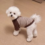 小狗狗衣服秋冬季德绒保暖卫衣小型犬比熊泰迪约克夏防着凉居家服