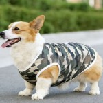 狗狗衣服春夏秋薄款透气网眼宠物背心小中大型犬法斗柯基柴犬衣服