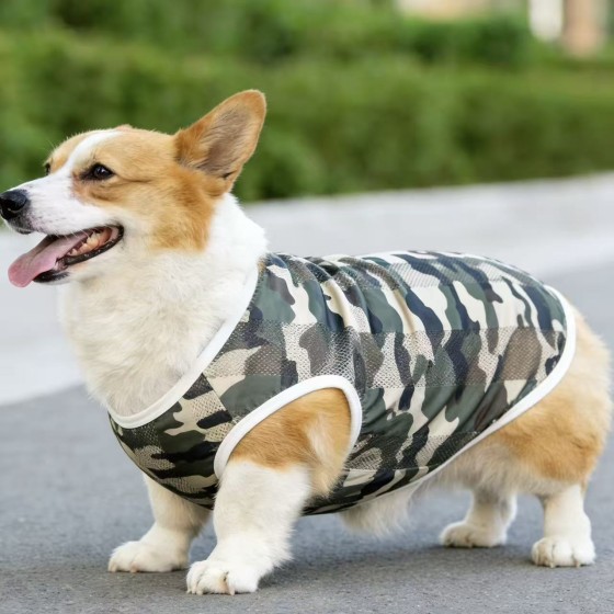 狗狗衣服春夏秋薄款透气网眼宠物背心小中大型犬法斗柯基柴犬衣服