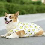 狗狗衣服春夏秋薄款透气网眼宠物背心小中大型犬法斗柯基柴犬衣服