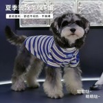 宠物狗狗衣服春夏款猫咪小型犬法斗比熊雪纳瑞条纹新款背心薄款