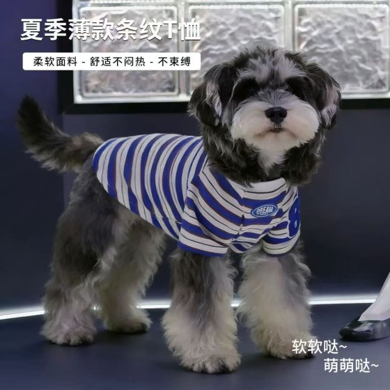 宠物狗狗衣服春夏款猫咪小型犬法斗比熊雪纳瑞条纹新款背心薄款