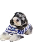 宠物狗狗衣服春夏款猫咪小型犬法斗比熊雪纳瑞条纹新款背心薄款