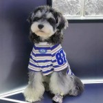 宠物狗狗衣服春夏款猫咪小型犬法斗比熊雪纳瑞条纹新款背心薄款