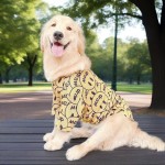 大狗衣服潮流金毛犬衣服春夏薄款透气宠物大型狗拉布拉多边萨摩耶