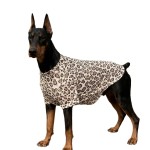大狗衣服潮流金毛犬衣服春夏薄款透气宠物大型狗拉布拉多边萨摩耶