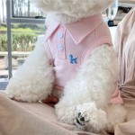 狗狗衣服夏天背心小型幼犬夏季泰迪比熊宠物猫咪博美贵宾春夏薄款
