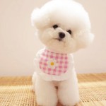 ins可爱小狗狗格子小花围兜宠物口水巾比熊泰迪博美围脖猫咪饰品