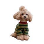 宠物狗狗衣服春秋装薄款泰迪比熊博美马尔济斯小型幼犬条纹两脚衣