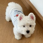 狗狗衣服夏季薄款背心家居服猫咪防掉毛西高地雪纳瑞比熊中小型犬