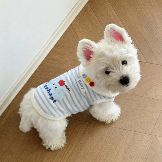 狗狗衣服夏季薄款背心家居服猫咪防掉毛西高地雪纳瑞比熊中小型犬