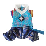 跨境新款韩国民族宠物服装 传统绣花宫廷韩服 夏季狗衣服批发