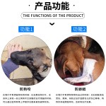 宠物伊丽莎白圈狗狗头套防舔保护罩脖套彩虹花朵保护宠物狗狗项圈