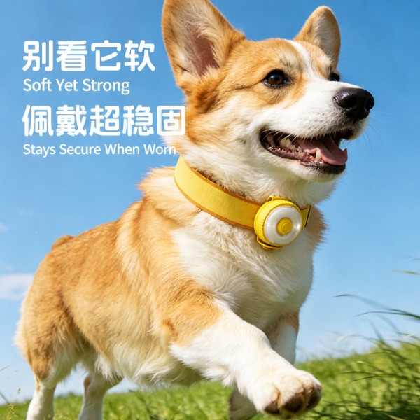 宠物导航灯狗狗项圈发光灯宠物夜光遛狗追踪灯夜间小型犬发亮充电