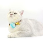 宠物定位器保护套专利airtag用GPS项圈硅胶壳套猫咪项圈airtag壳