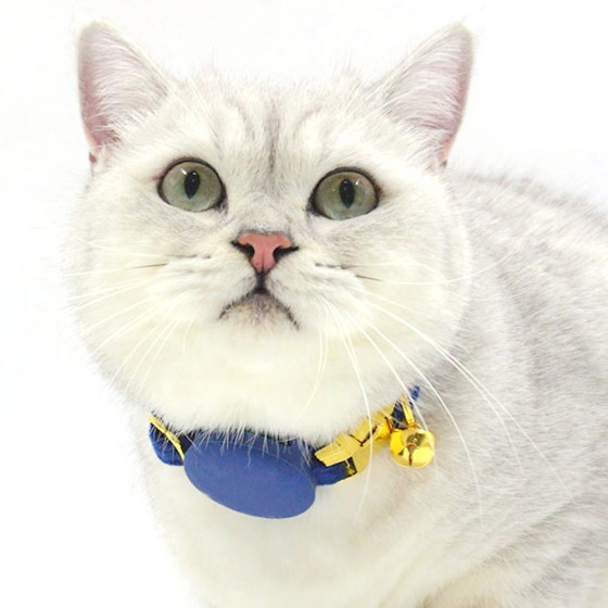 宠物定位器保护套专利airtag用GPS项圈硅胶壳套猫咪项圈airtag壳