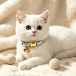 夏日水果花卉印花猫脖圈可拆蝴蝶结铃铛猫咪项圈现货批发一件代发