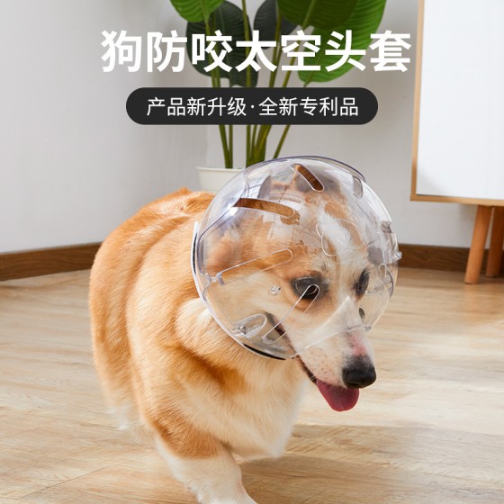 宠物用品狗狗头套防咬透气猫咪塑料头罩宠物项圈配饰批发