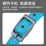 跨境潜水料内衬狗狗项圈反光皮带针扣宠物项圈大中小型犬颈圈脖圈