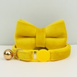跨境宠物项圈新款猫咪项圈彩色快速释放扣，防窒息猫项圈